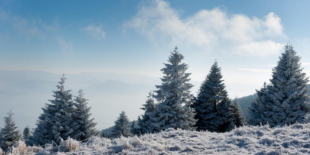 Penzion Ladoven Skvela Kuchyna A Rodinna Atmosfera Martin Zewnętrze zdjęcie